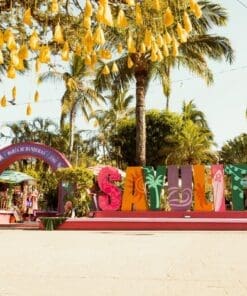 Sayulita Day Trip (Private Driver)